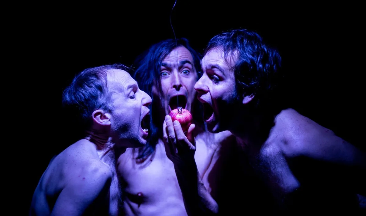 Incubation-trio